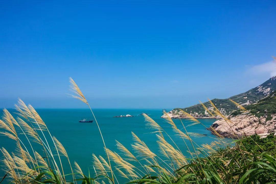权力与纷争